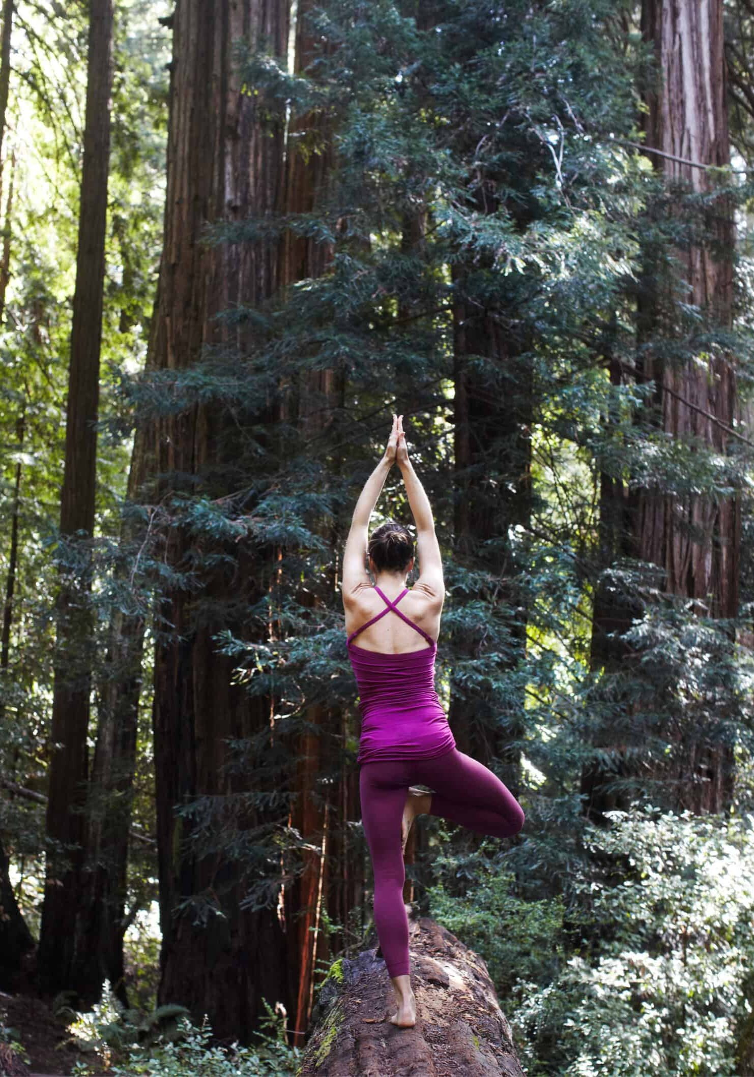 Mid adult woman doing yoga in forest, in tree pose, rear view